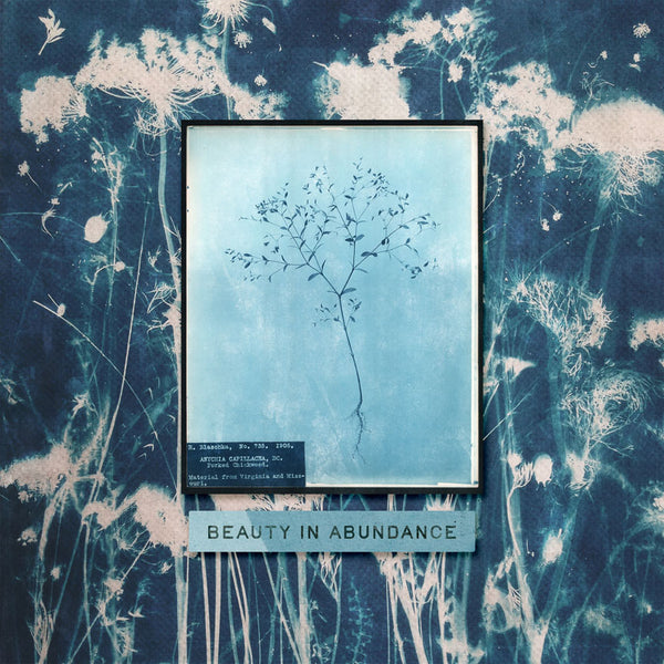 Cyanotypes Paper Pak