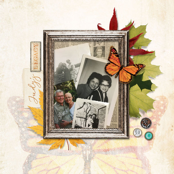 Family Tree Paper Pak