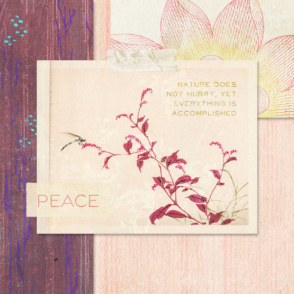 Tranquility Garden Journal Cards