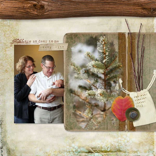 Winter Birch Collection