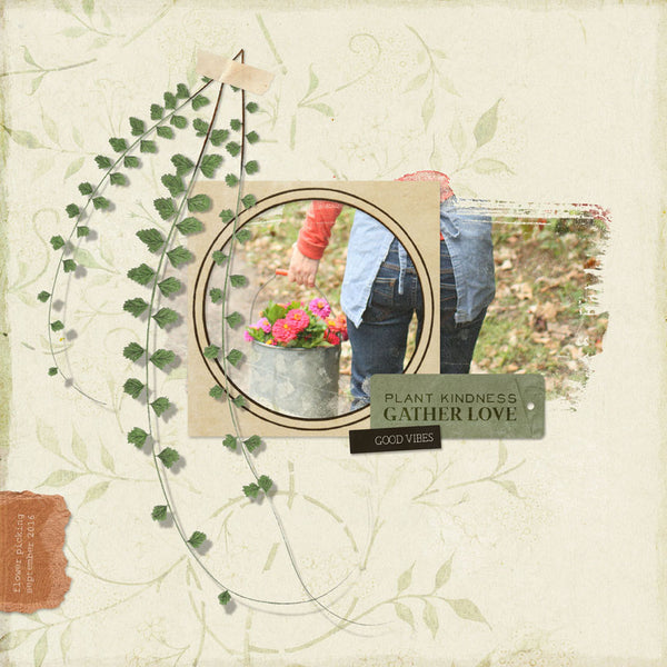 Boho Botanicals Paper Pak