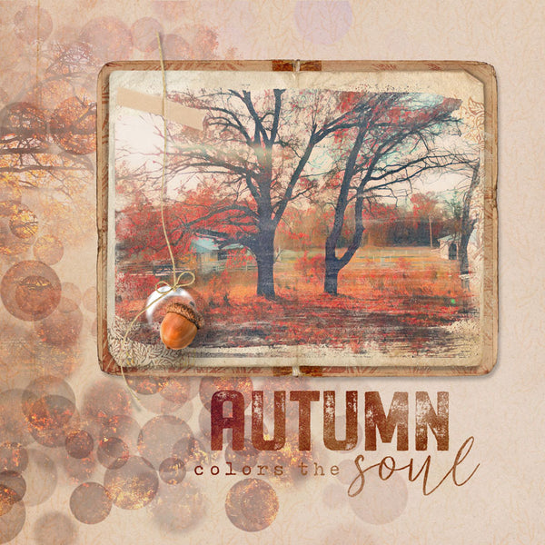 Autumn Colors Collection