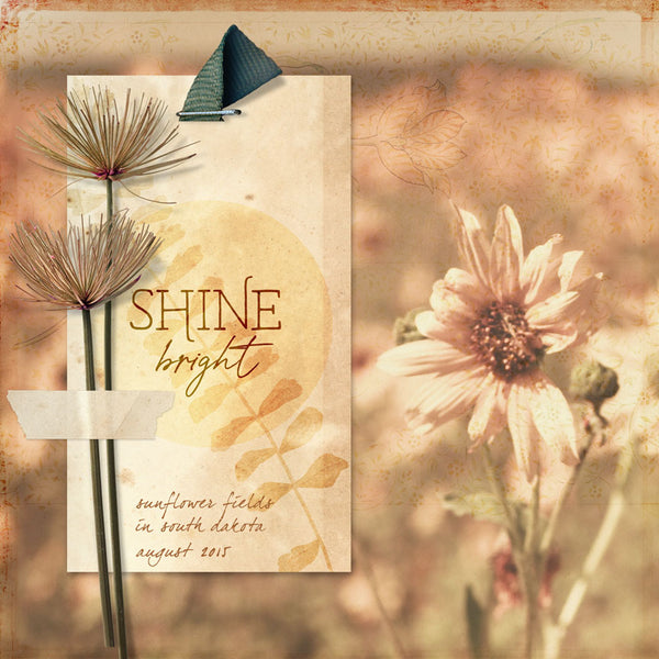 Boho Botanicals Paper Pak