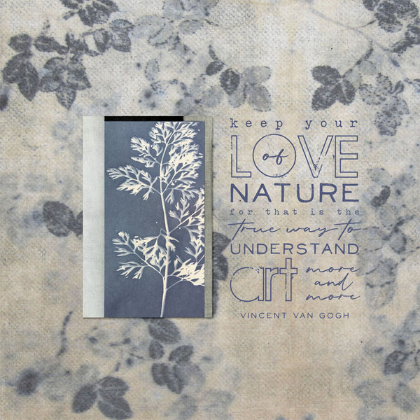 Cyanotypes Paper Pak