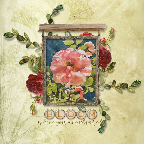 In Full Bloom Paper Pak