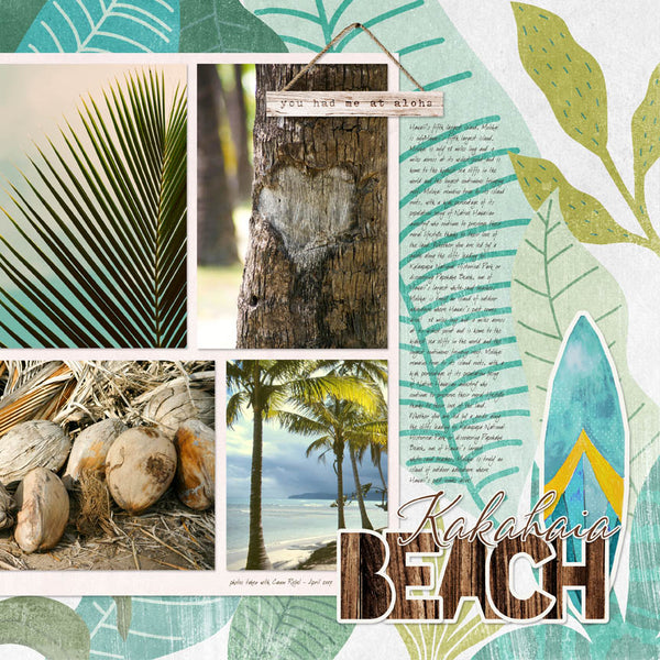 Hello Paradise Collection