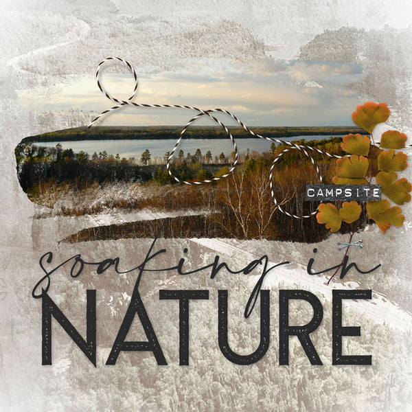 North Shore Collection