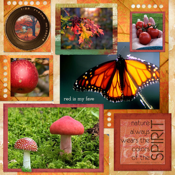 Planting Hope Collection
