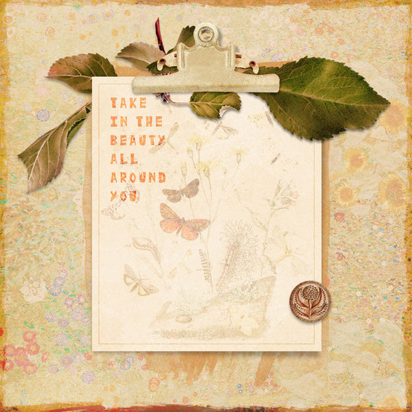 Summer Solstice Journal Cards
