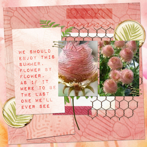 Summer Stories Journal Cards