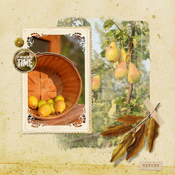 Autumn Colors Collection