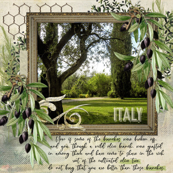Fresco Scrap.Frames