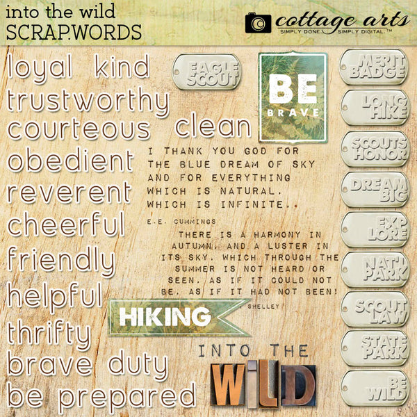 Into the Wild Collection