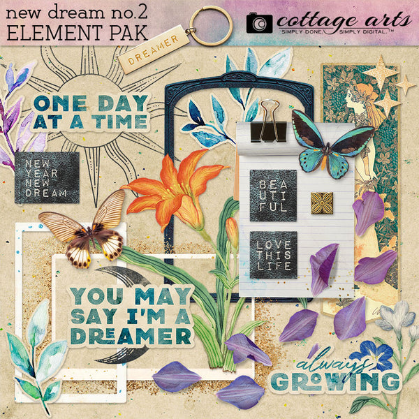 New Dream 2 Collection