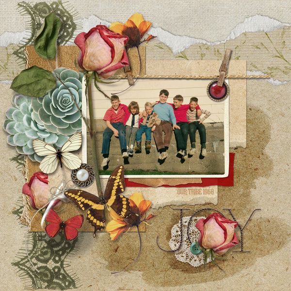 Torn & Tattered Collection