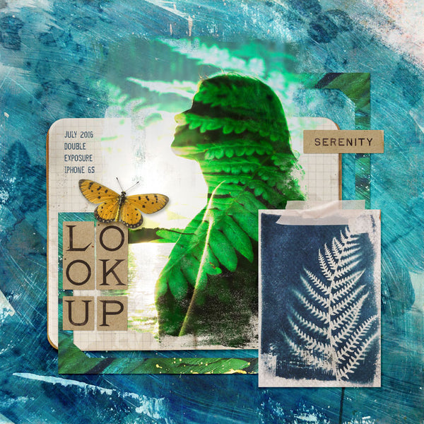 Cyanotypes Paper Pak
