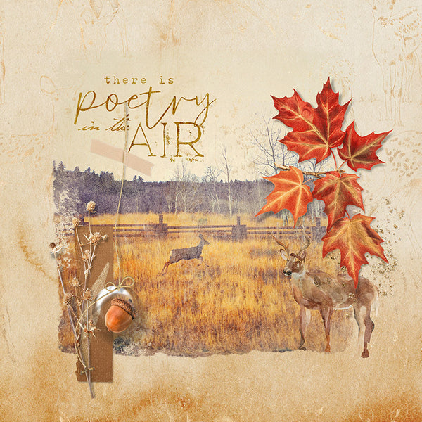 Autumn Colors Collection