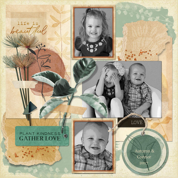Boho Botanicals Paper Pak