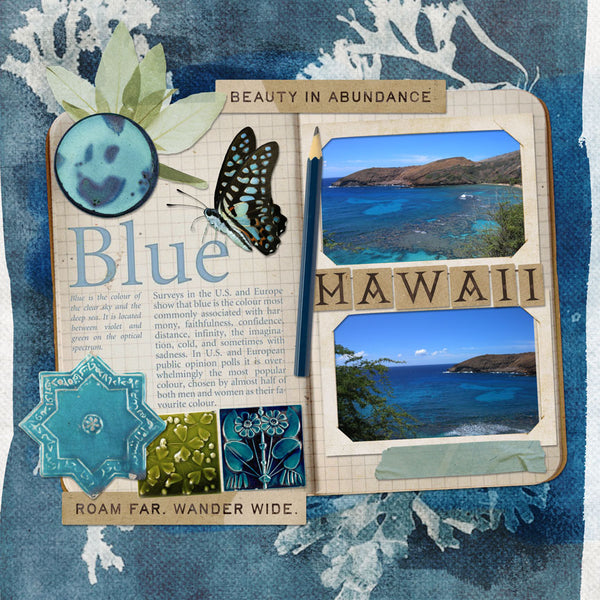 Cyanotypes Element Pak