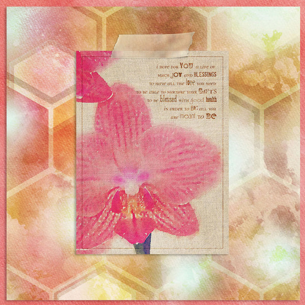 Together in Hope Art Cards