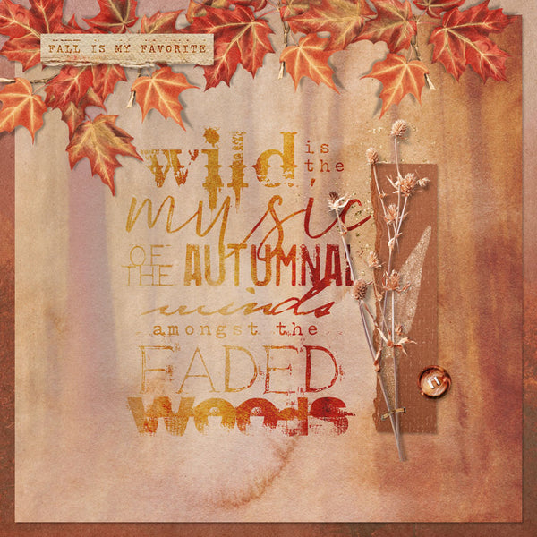 Autumn Colors Collection