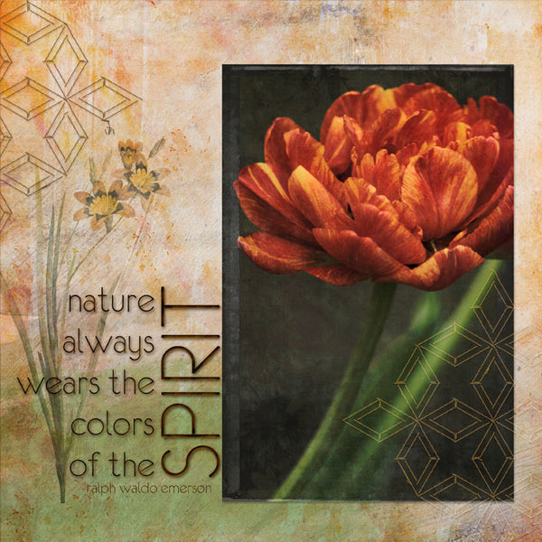 Planting Hope Collection