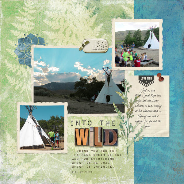 Into the Wild Collection