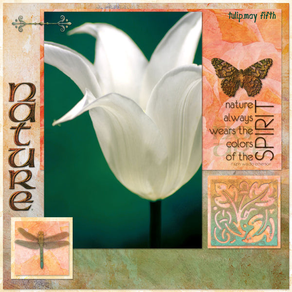 Planting Hope Collection