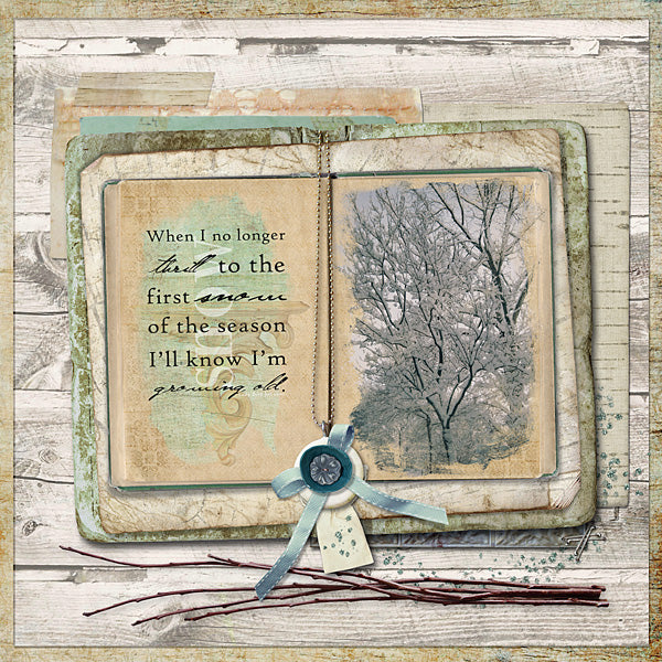 Winter Birch Collection
