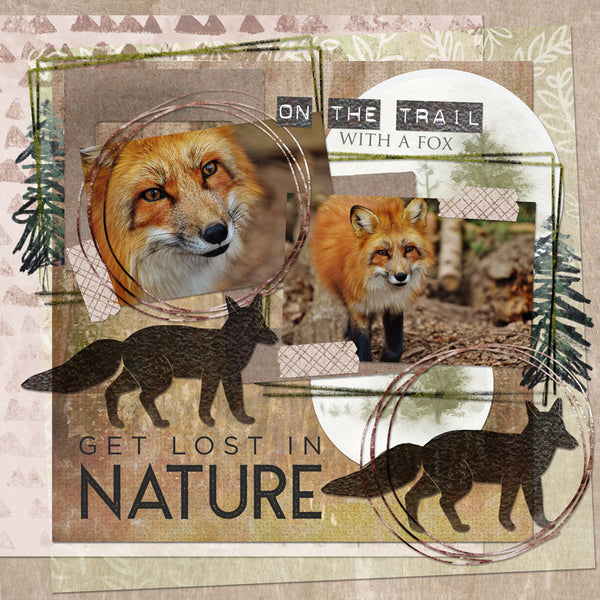Into the Forest Paper Pak