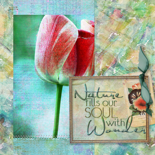 Planting Hope Collection