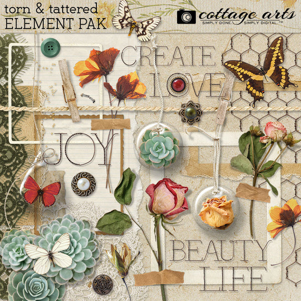 Torn & Tattered Element Pak