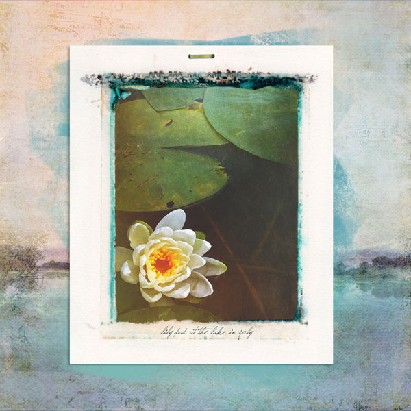 Tropic Blues Collection