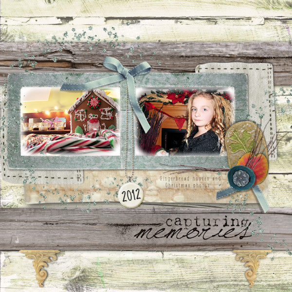 Winter Birch Collection
