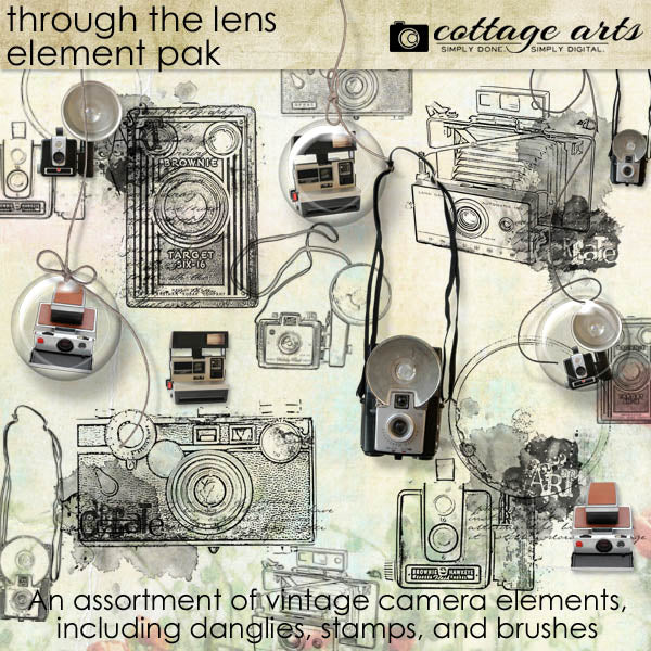 Artful Lens Element Pak