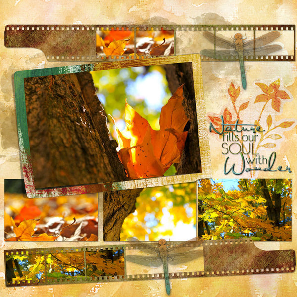 Planting Hope Collection