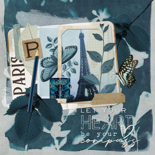 Cyanotypes Paper Pak