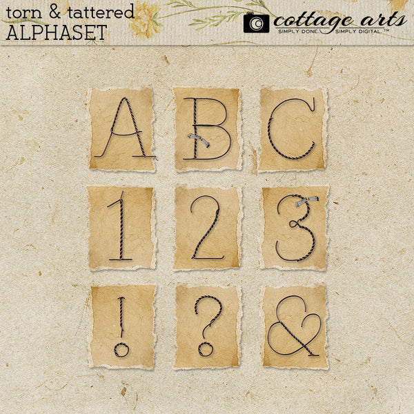 Torn & Tattered Collection