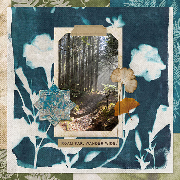 Cyanotypes Paper Pak