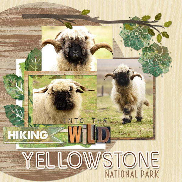 Into the Wild Woods Paper Pak