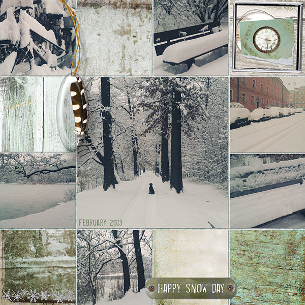 Winter Birch Collection
