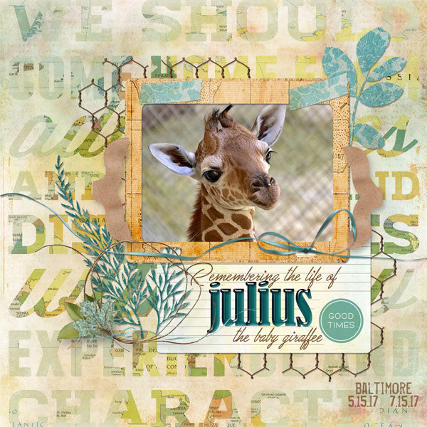 World Travels Collection 3