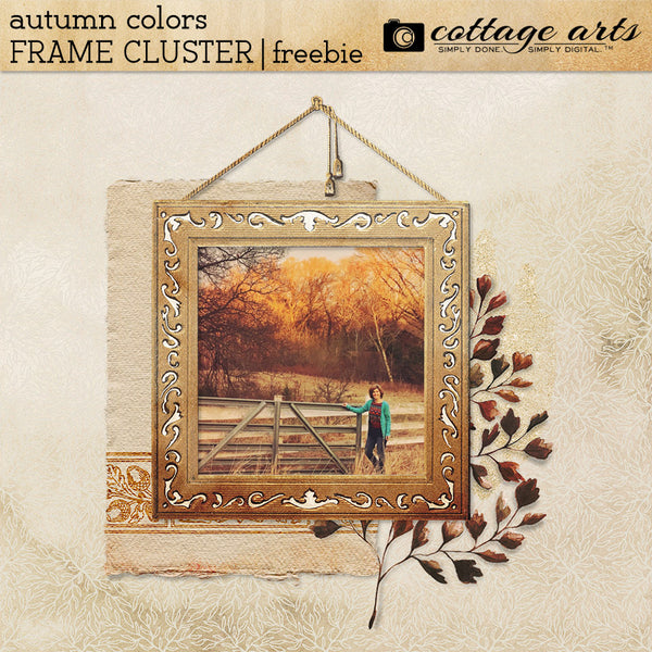 Autumn Colors Collection