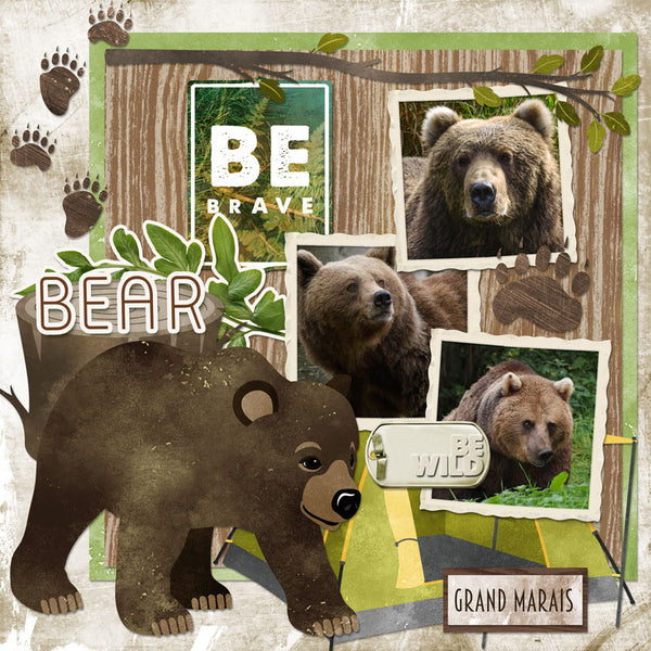 Into the Wild Woods Paper Pak