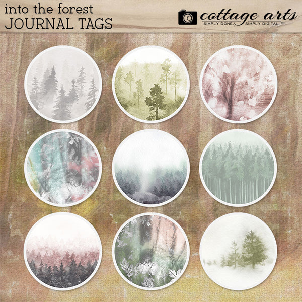 Into the Forest Collection