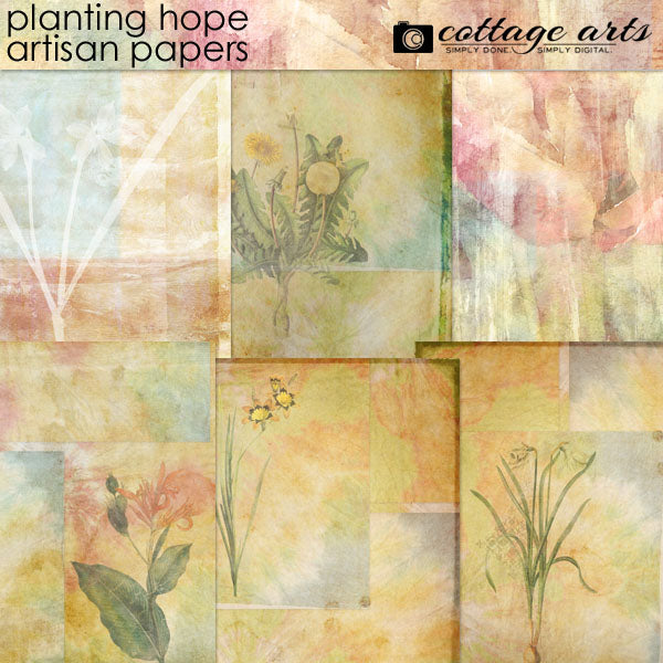 Planting Hope Collection