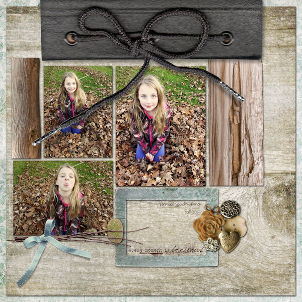 Winter Birch Collection