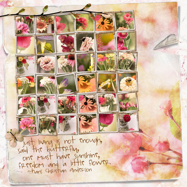 Nature's Sketchbook 5 Paper Pak - Apple Blossoms