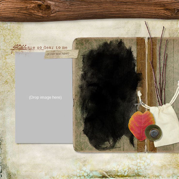 Winter Birch Collection