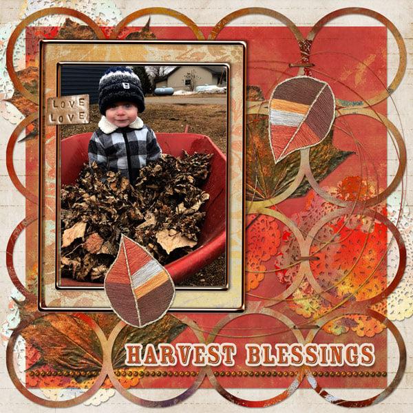 Crimson & Copper Paper Pak
